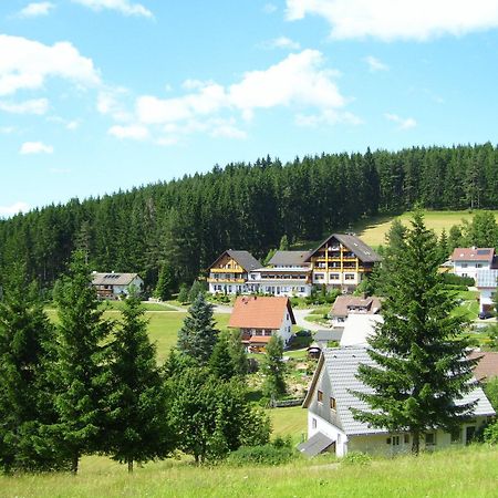 Waldhotel Auerhahn Eisenbach  Exterior foto