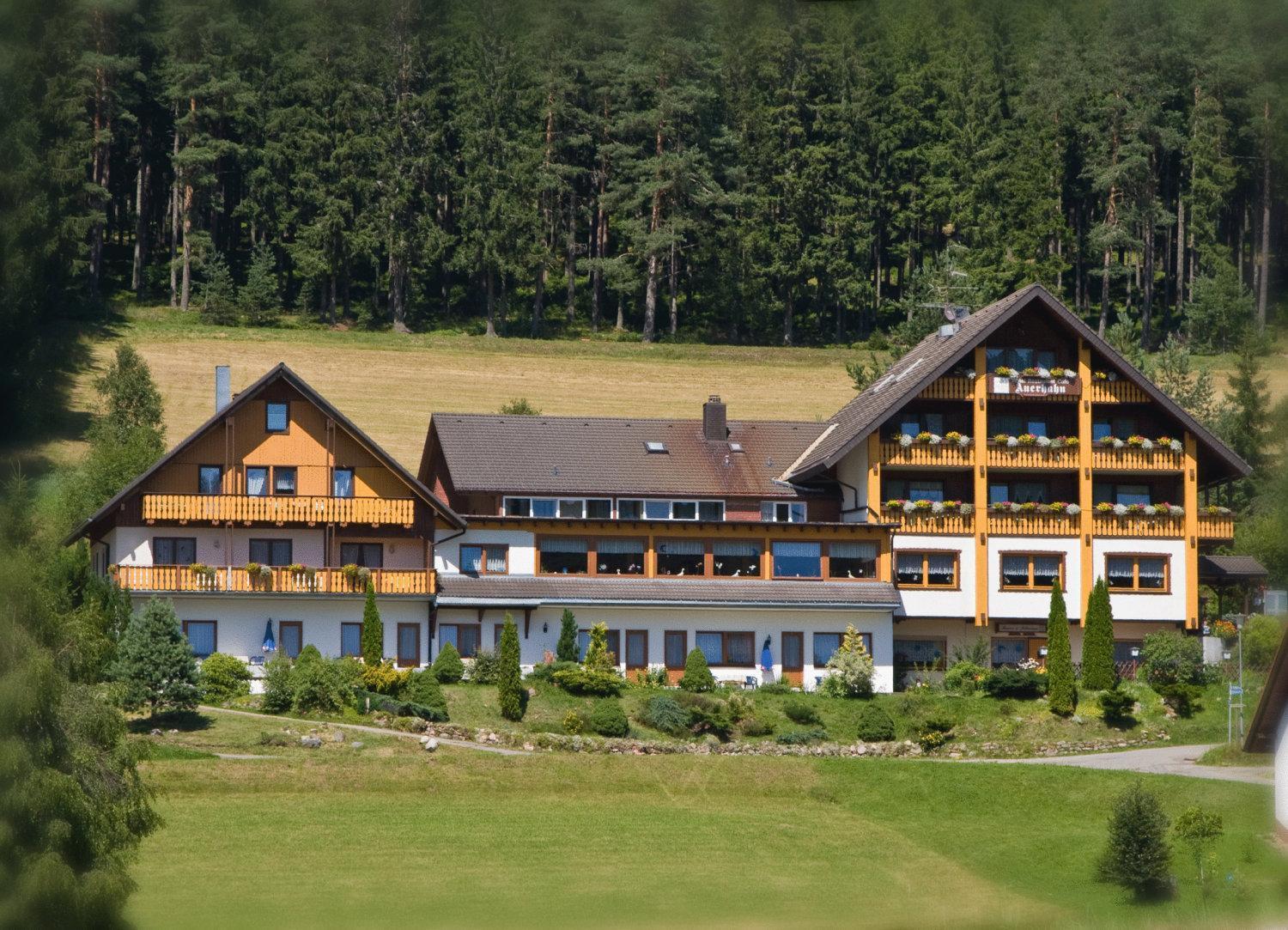 Waldhotel Auerhahn Eisenbach  Exterior foto