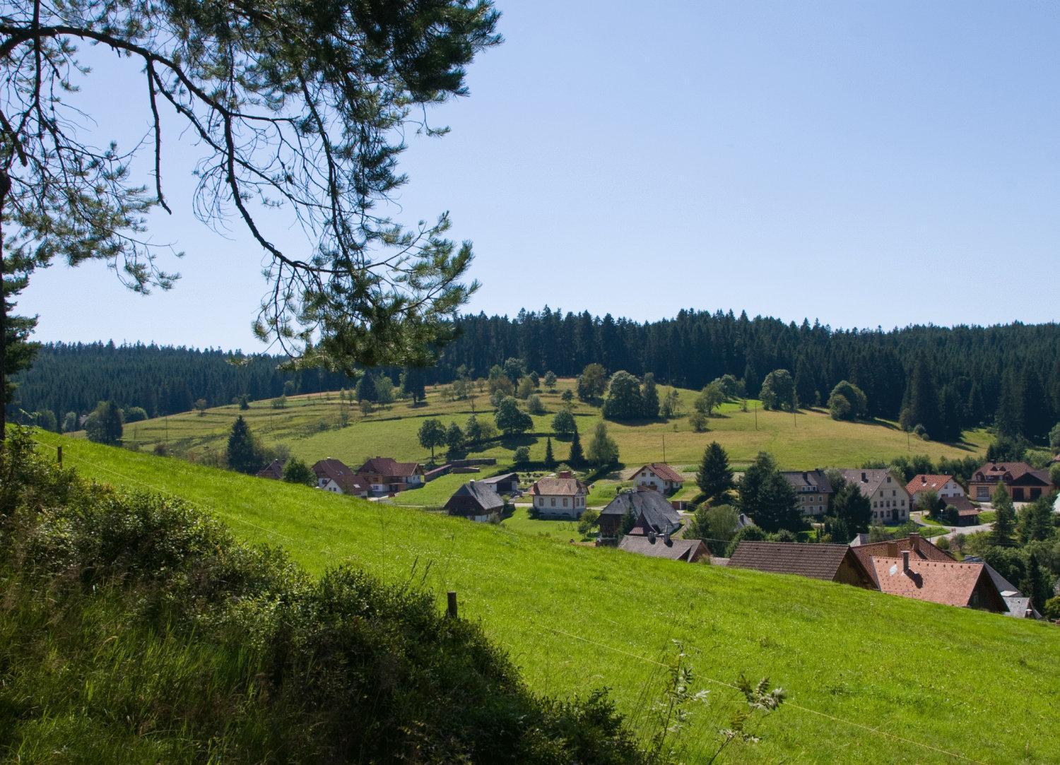 Waldhotel Auerhahn Eisenbach  Exterior foto