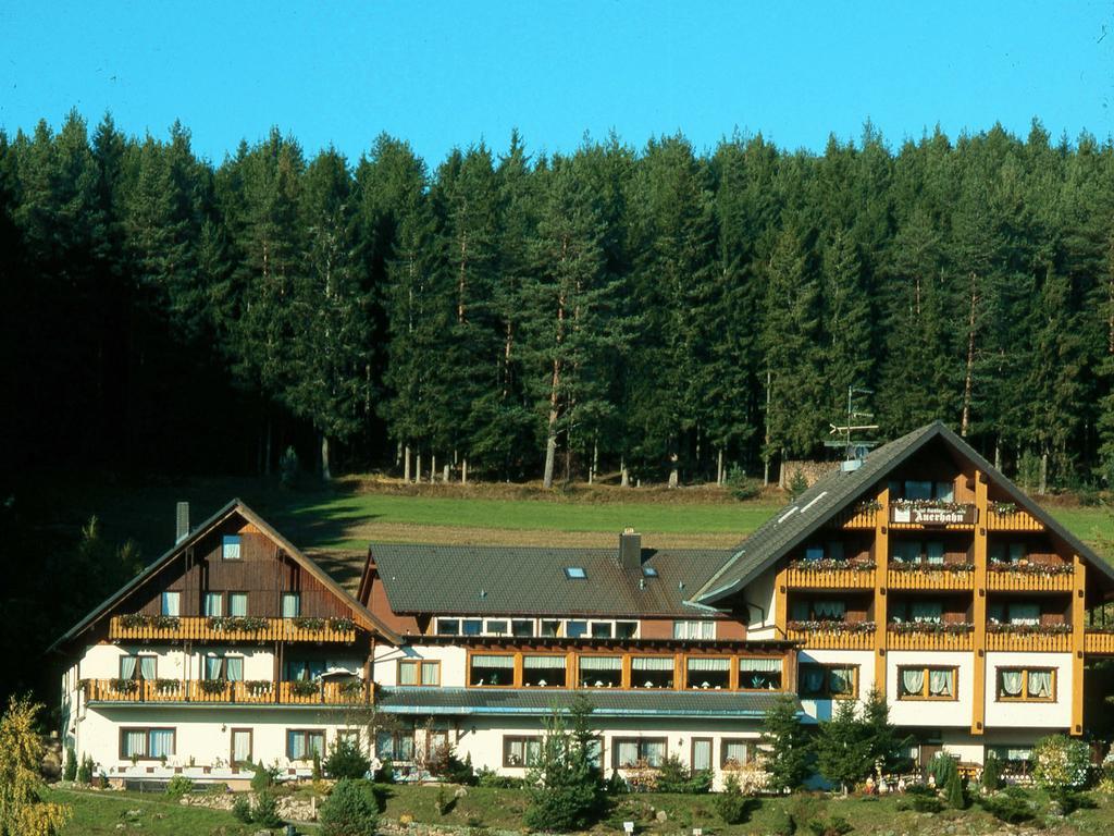 Waldhotel Auerhahn Eisenbach  Exterior foto