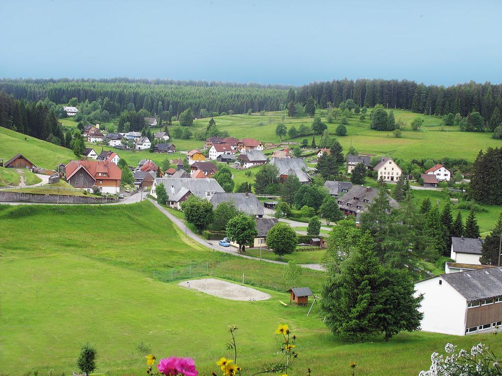 Waldhotel Auerhahn Eisenbach  Exterior foto